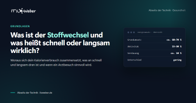 Was ist der Stoffwechsel und was heißt schnell oder langsam wirklich?
