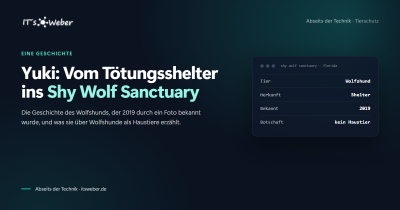 Yuki: Vom Tötungsshelter ins Shy Wolf Sanctuary